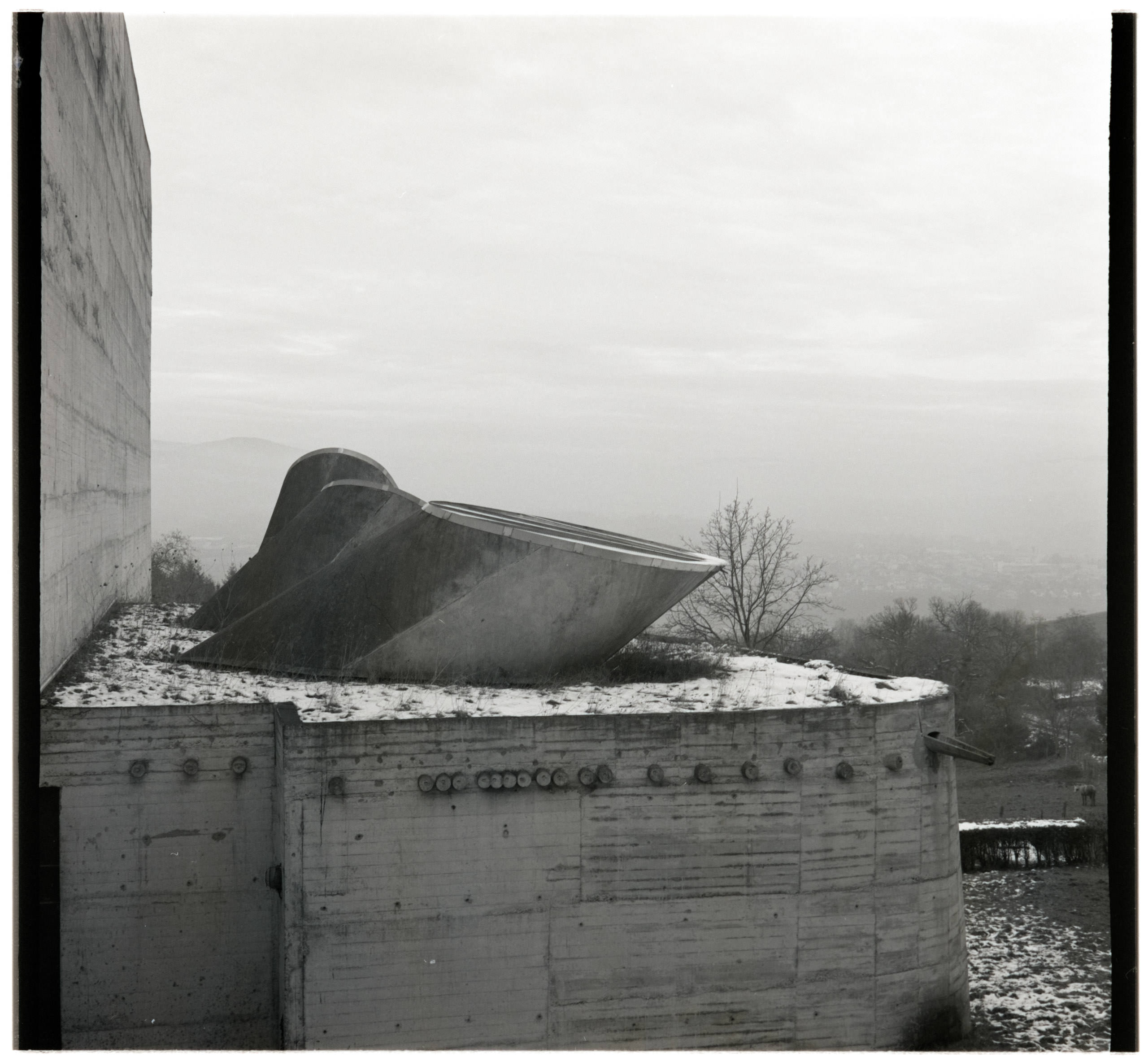 AHP FilmScan 240804 0332